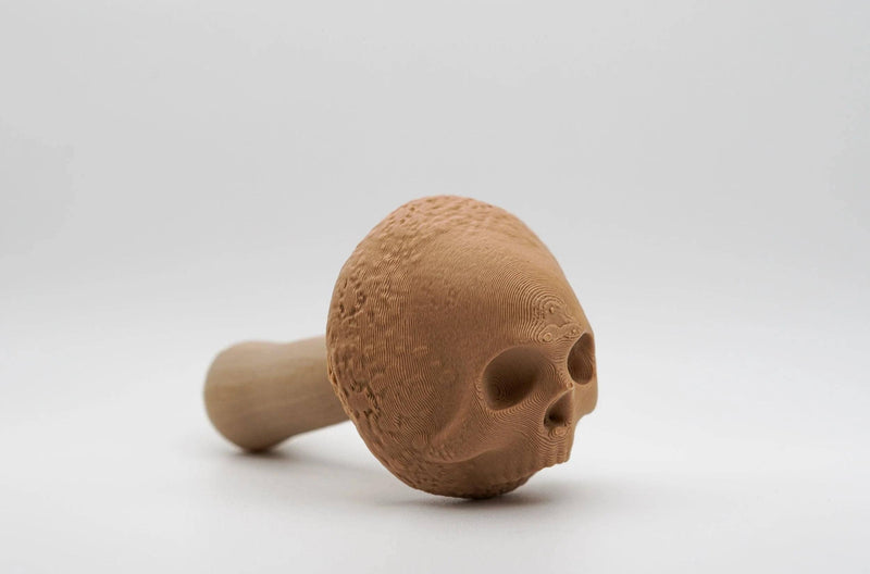 Deathcap Mushroom