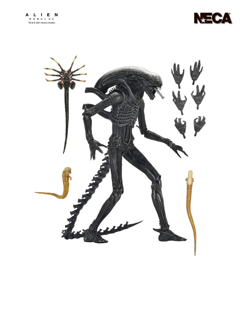 Alien: Romulus - Ultimate Xenomorph XX121 7" Scale Action Figure 1:10 Scale