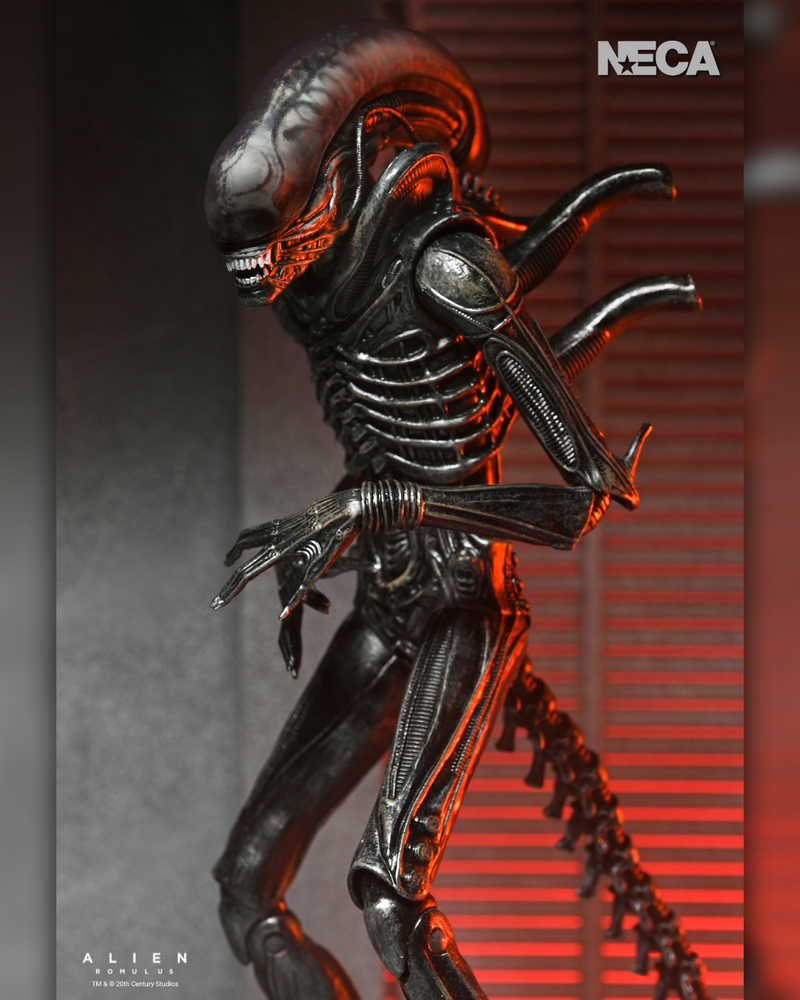 Alien: Romulus - Ultimate Xenomorph XX121 7" Scale Action Figure 1:10 Scale