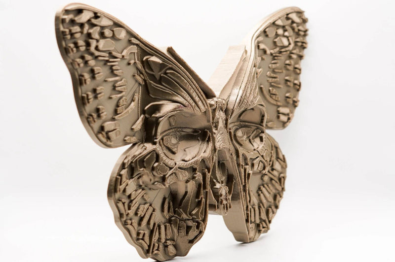 Death's Head Moth