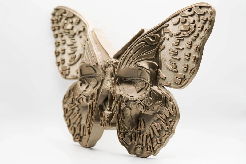 Death's Head Moth