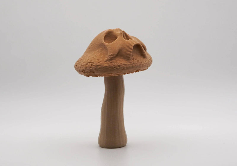 Deathcap Mushroom