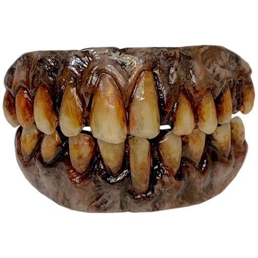 *BACK-ORDER* Terrifier - Art the Clown Teeth
