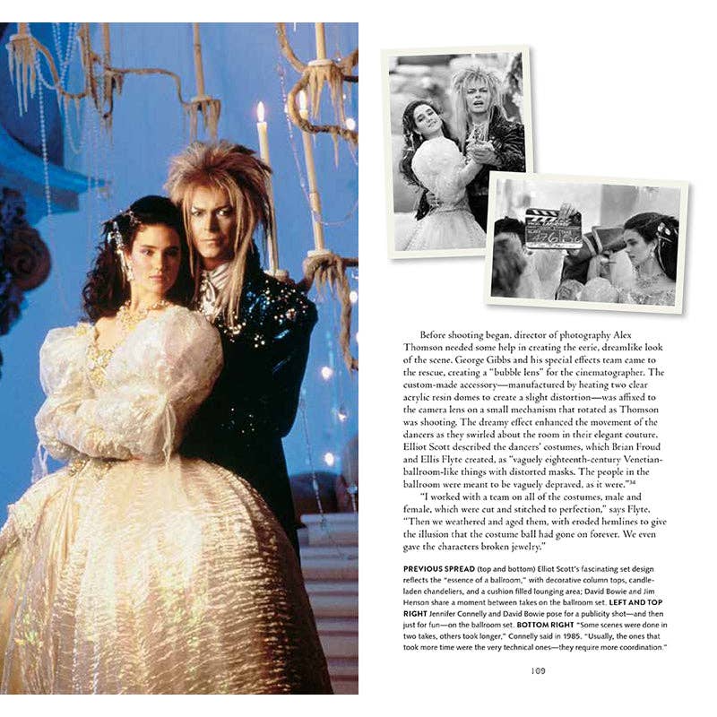 Labyrinth: "VHS" Deluxe Edition Book