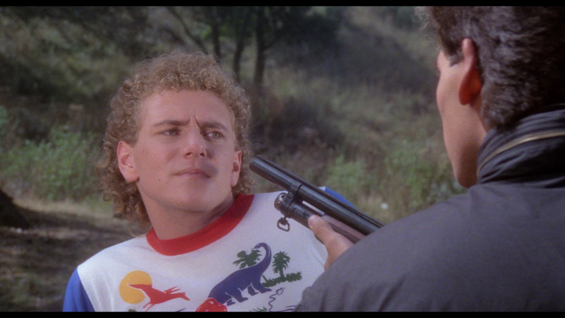 Don't Panic Limited Edition Variant Slipcover Blu-ray Vinegar Syndrome New and Sealed