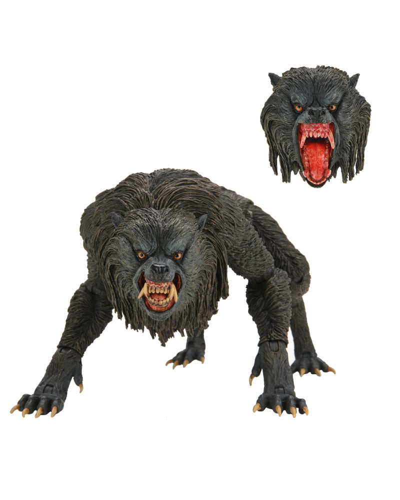 An American Werewolf in London – 7″ Scale Action Figure Ultimate Kessler Wolf NECA