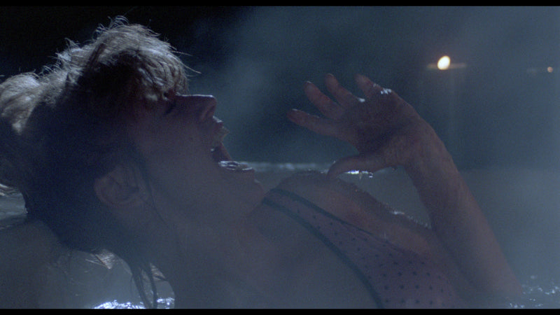 Night Screams 4K Ultra HD / Blu-ray x 2 Vinegar Syndrome New and Sealed