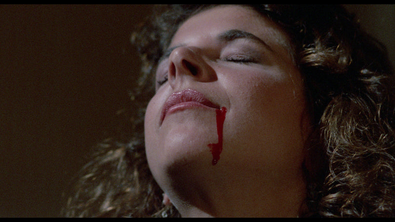 Night Screams 4K Ultra HD / Blu-ray x 2 Vinegar Syndrome New and Sealed