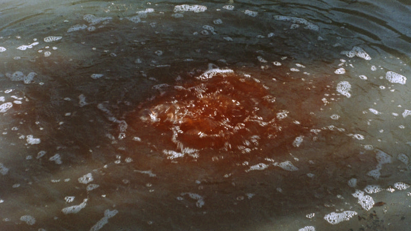 The Cellar Blu Ray Vinegar Syndrome Limited Edition Slipcover New and Sealed