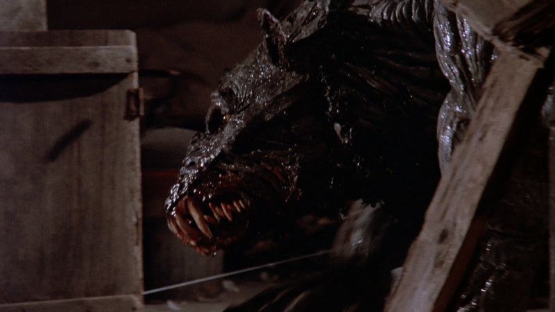 The Cellar Blu Ray Vinegar Syndrome Limited Edition Slipcover New and Sealed