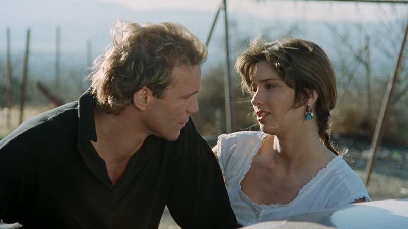 The Cellar Blu Ray Vinegar Syndrome Limited Edition Slipcover New and Sealed