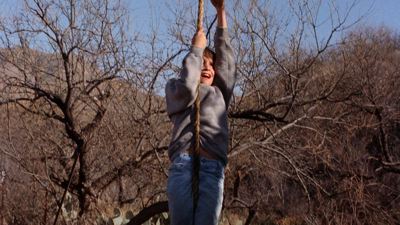 The Cellar Blu Ray Vinegar Syndrome Limited Edition Slipcover New and Sealed