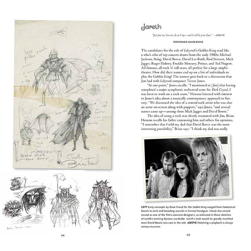 Labyrinth: "VHS" Deluxe Edition Book