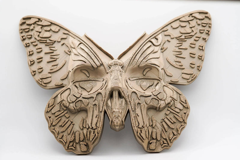 Death's Head Moth