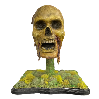 Custom Floating Skull Display