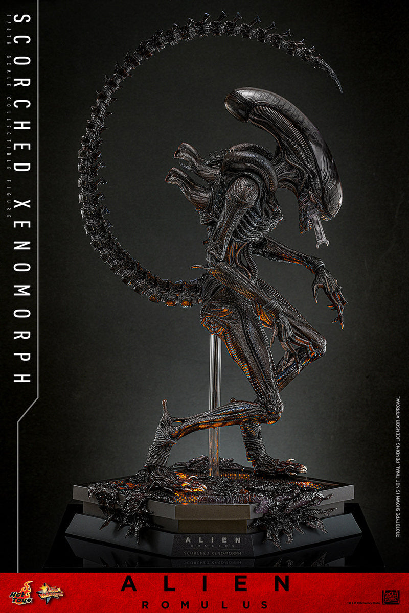Alien Romulus Scorched Xenomorph 17" Sixth Scale Action Figure Hot Toys
