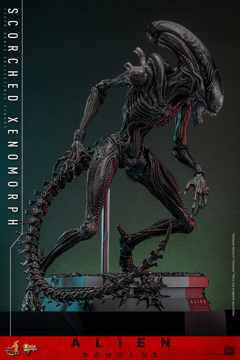 Alien Romulus Scorched Xenomorph 17" Sixth Scale Action Figure Hot Toys