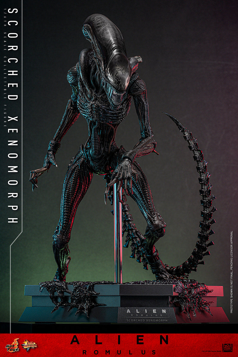 Alien Romulus Scorched Xenomorph 17" Sixth Scale Action Figure Hot Toys