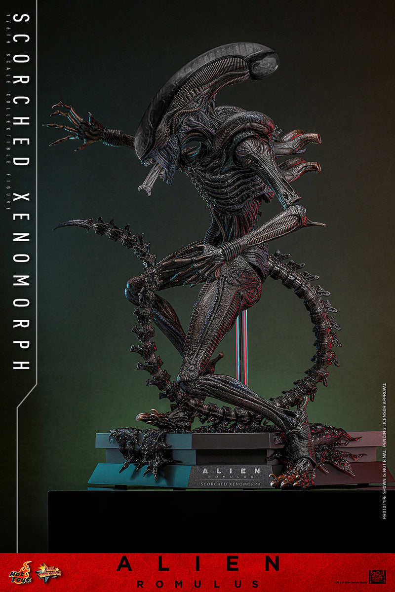 Alien Romulus Scorched Xenomorph 17" Sixth Scale Action Figure Hot Toys