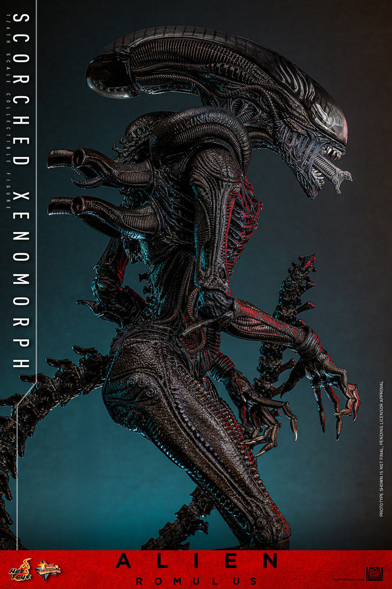 Alien Romulus Scorched Xenomorph 17" Sixth Scale Action Figure Hot Toys