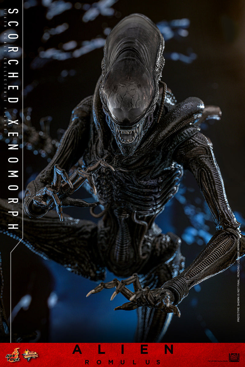 Alien Romulus Scorched Xenomorph 17" Sixth Scale Action Figure Hot Toys