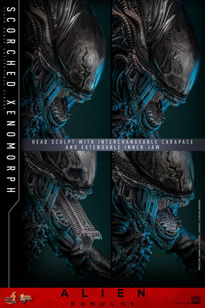 Alien Romulus Scorched Xenomorph 17" Sixth Scale Action Figure Hot Toys
