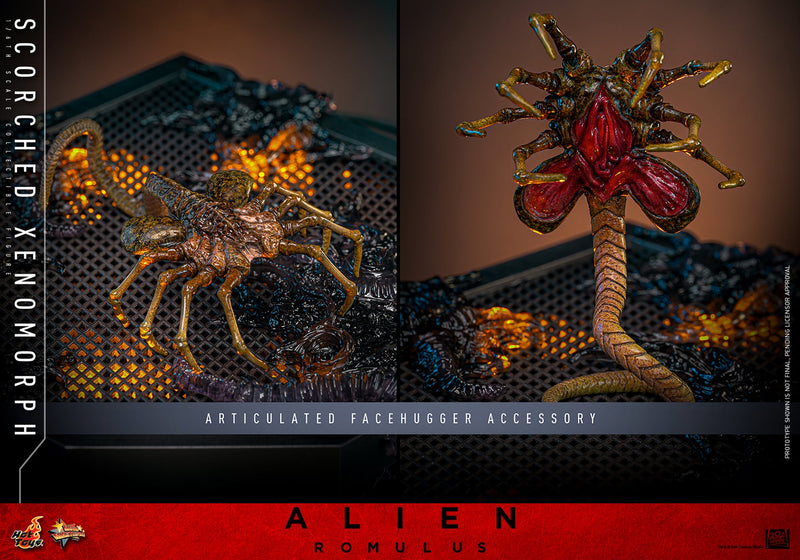 Alien Romulus Scorched Xenomorph 17" Sixth Scale Action Figure Hot Toys