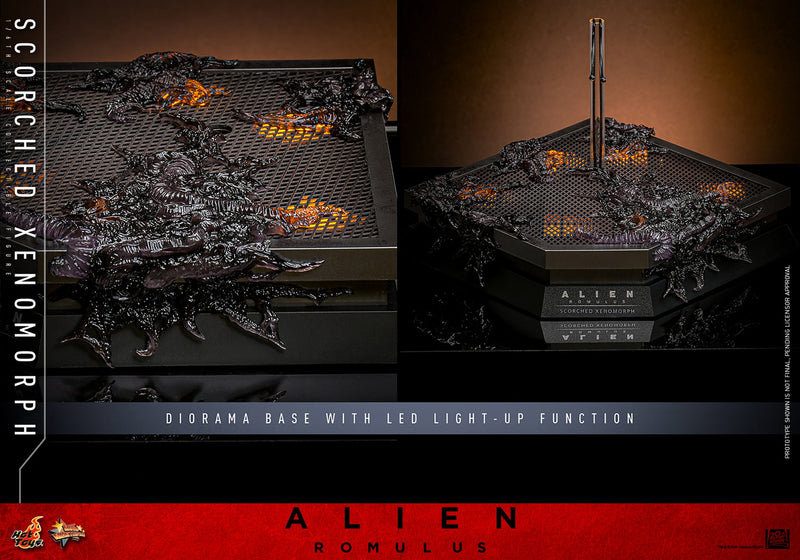 Alien Romulus Scorched Xenomorph 17" Sixth Scale Action Figure Hot Toys