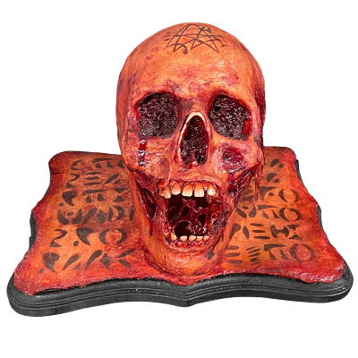 Custom Skull Display