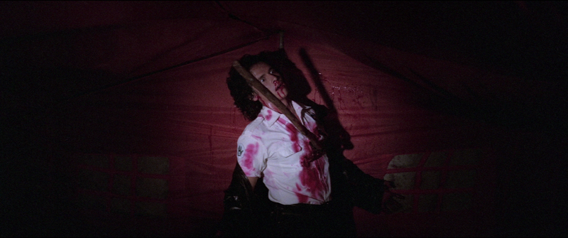 Srigala (1981) Blu-ray