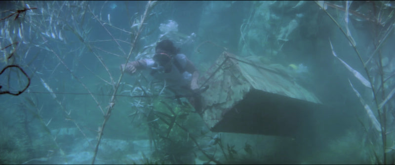 Srigala (1981) Blu-ray Terror Vision Pre-Owned