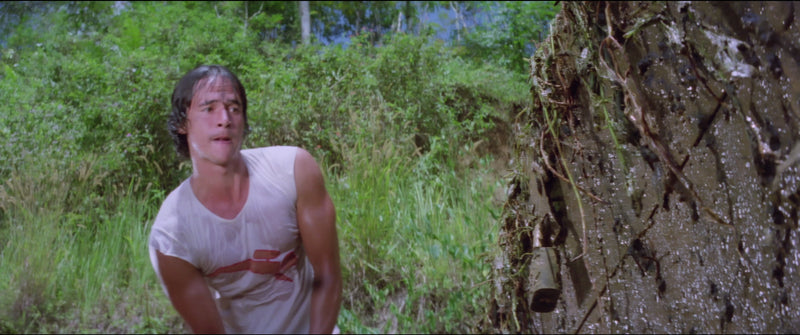 Srigala (1981) Blu-ray Terror Vision Pre-Owned